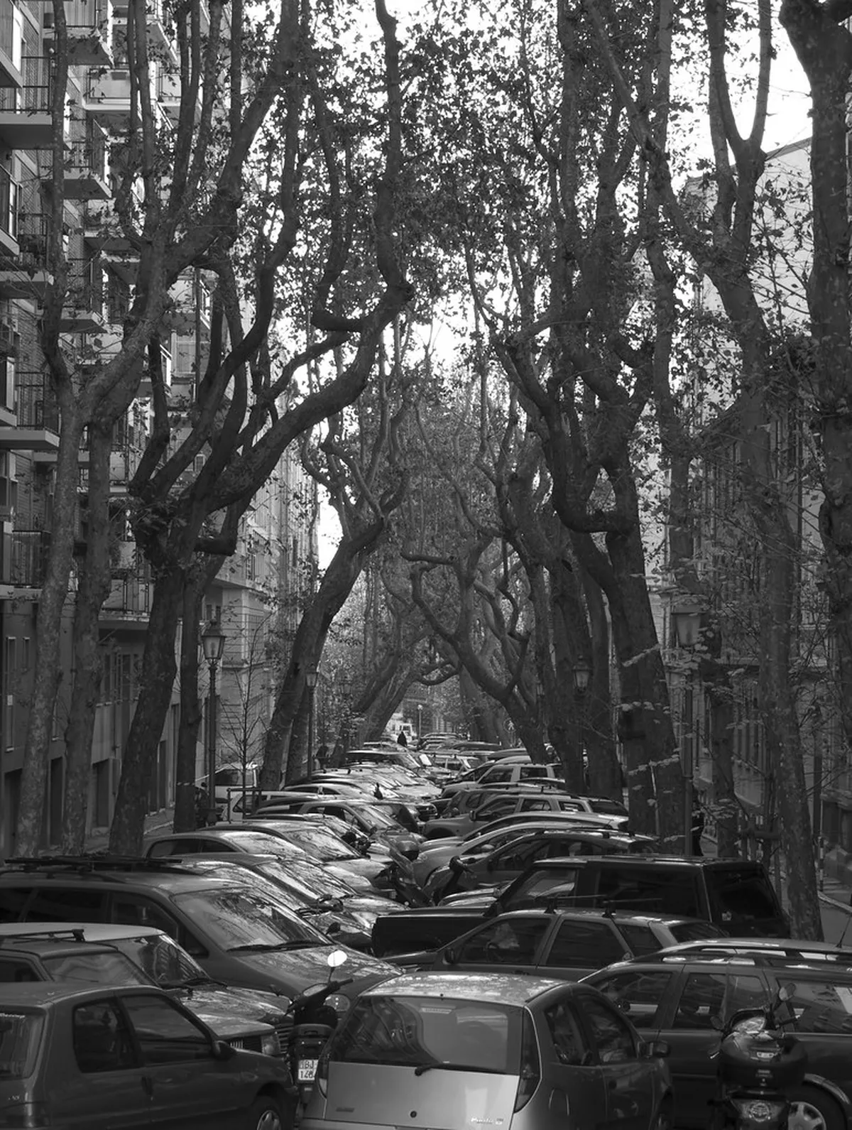 Best Urban Walks in Trieste: Discover Italy's Gem in 2025