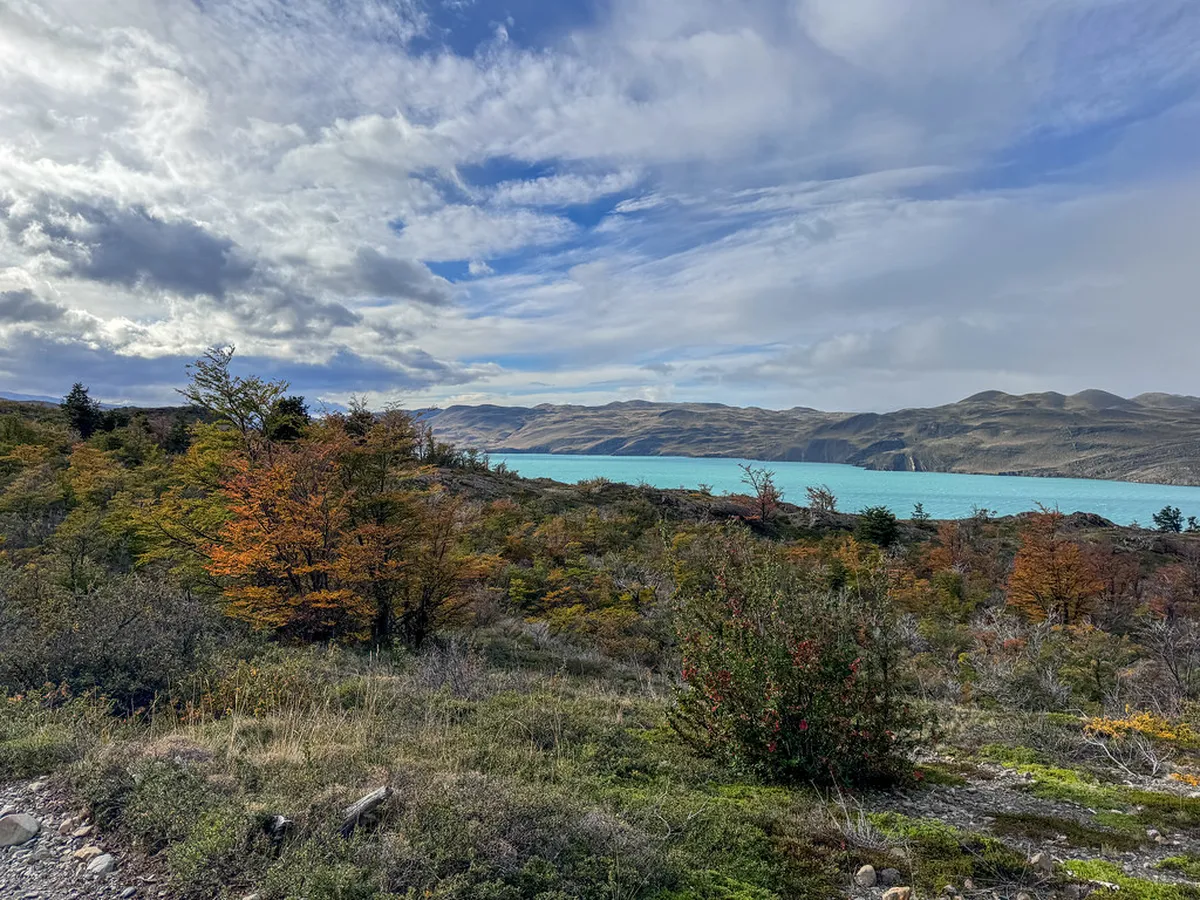 Best Full Day Walking Routes Near Trieste in 2025