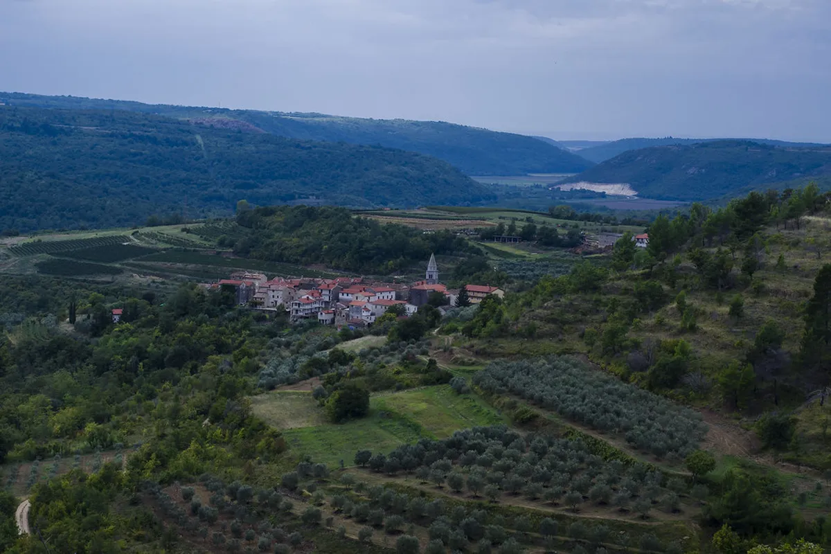 Hiking Trieste to Slovenia Border: Guide 2025