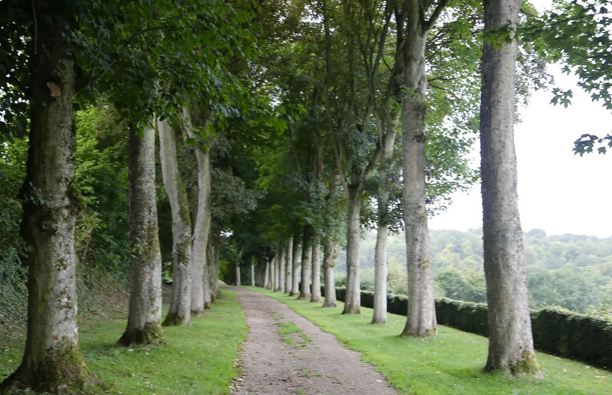 Discover Trieste's Past: Historic Walking Trails Guide