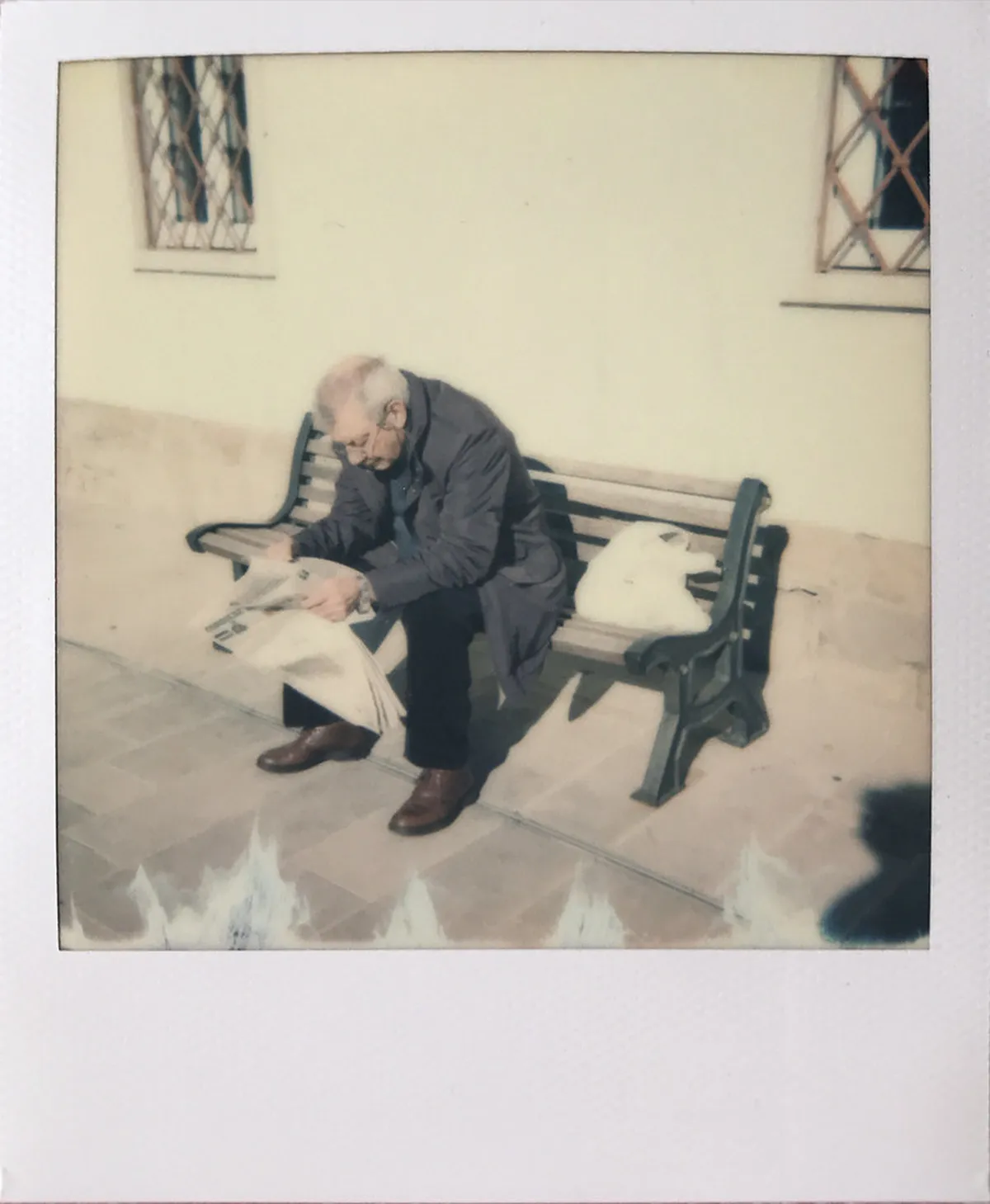 How to Get to Muggia Trieste: Your Travel Guide