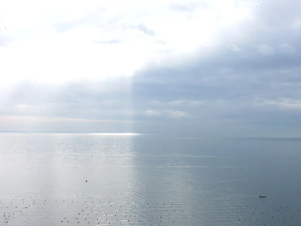 Rilke Trail Trieste Walk: Coastal Views & History