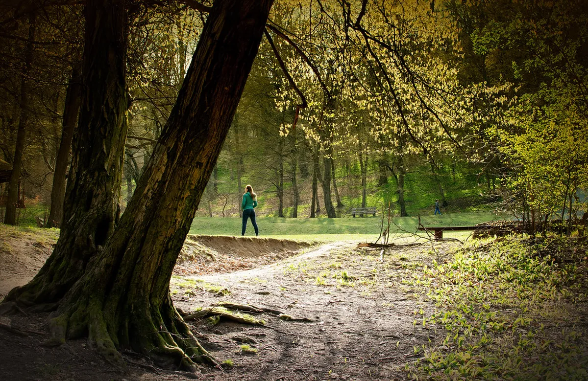 Spring Walks Trieste: See Beautiful Flowers in 2025