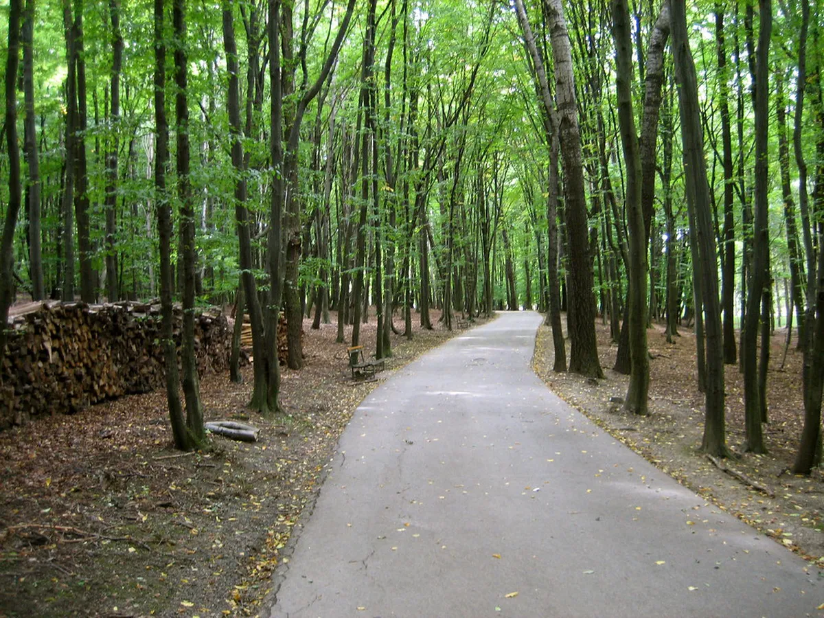 Best Stroller Friendly Paths in Trieste for Families