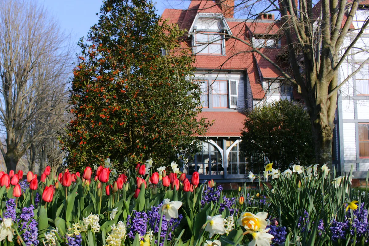 Verona's Romantic Sunset Walking Routes for Couples