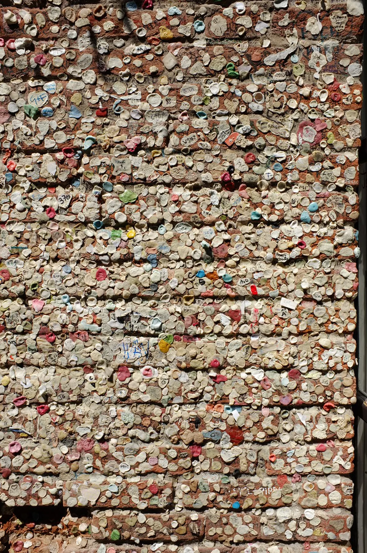 Verona Ancient History Walks: Explore Roman Ruins in 2025