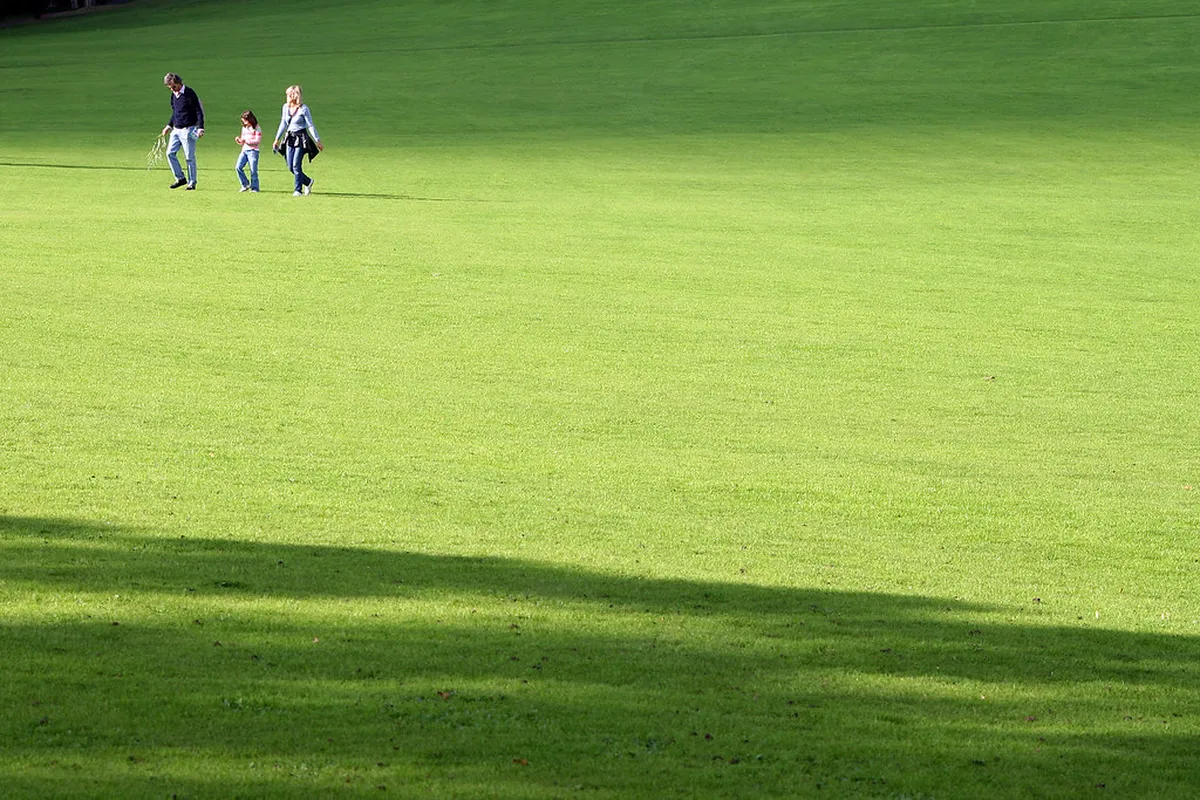 Verona Garden Walks Guide: Discover Tranquil Beauty in 2025