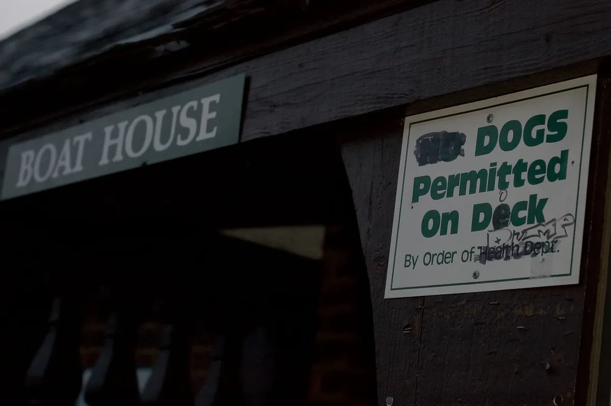 Verona Parks Permitting Dogs for Walks: 2025 Guide