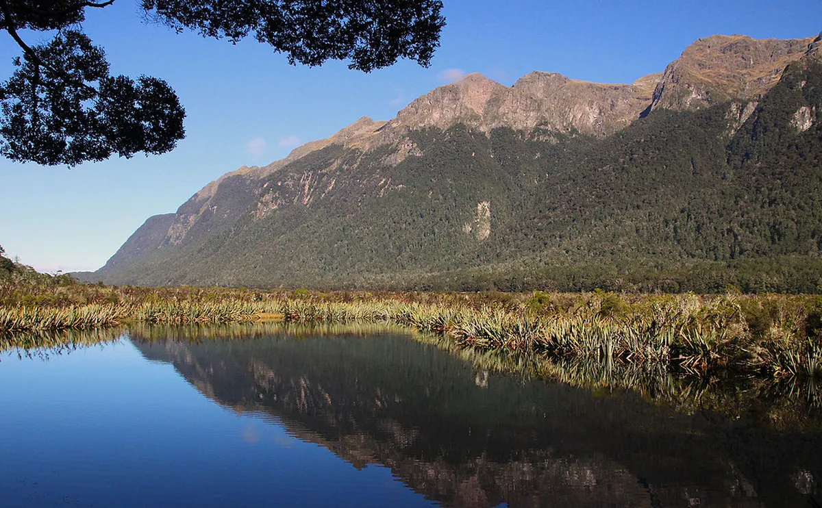 Verona's Wheelchair Friendly Walking Routes for 2025