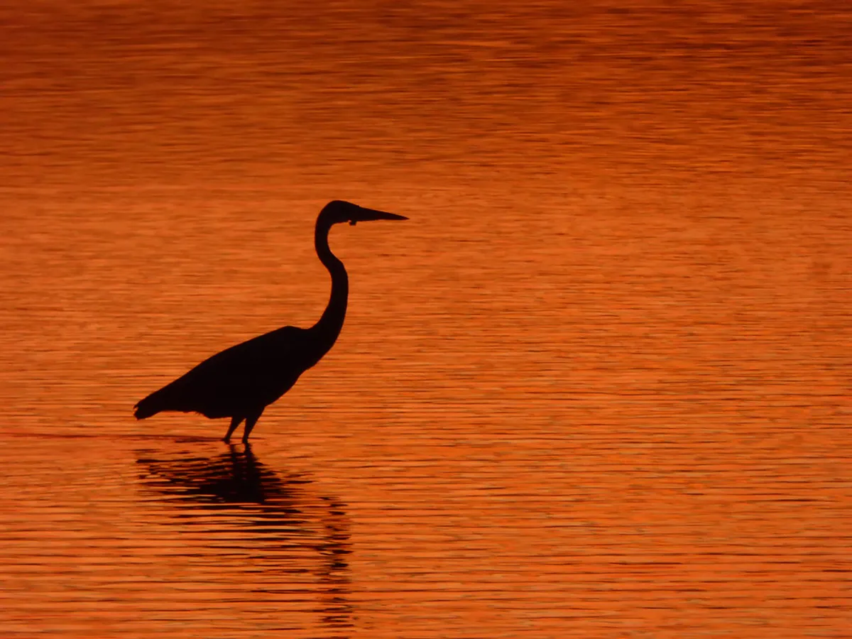 Sunset at Barra Lighthouse Aveiro Walk Guide