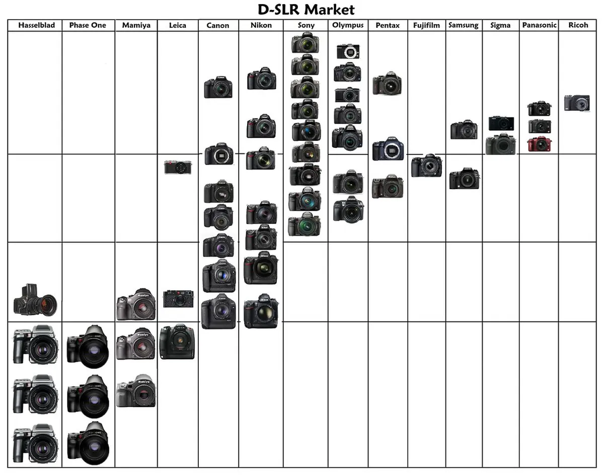 Best Entry Points for Rio Este Walk in Braga
