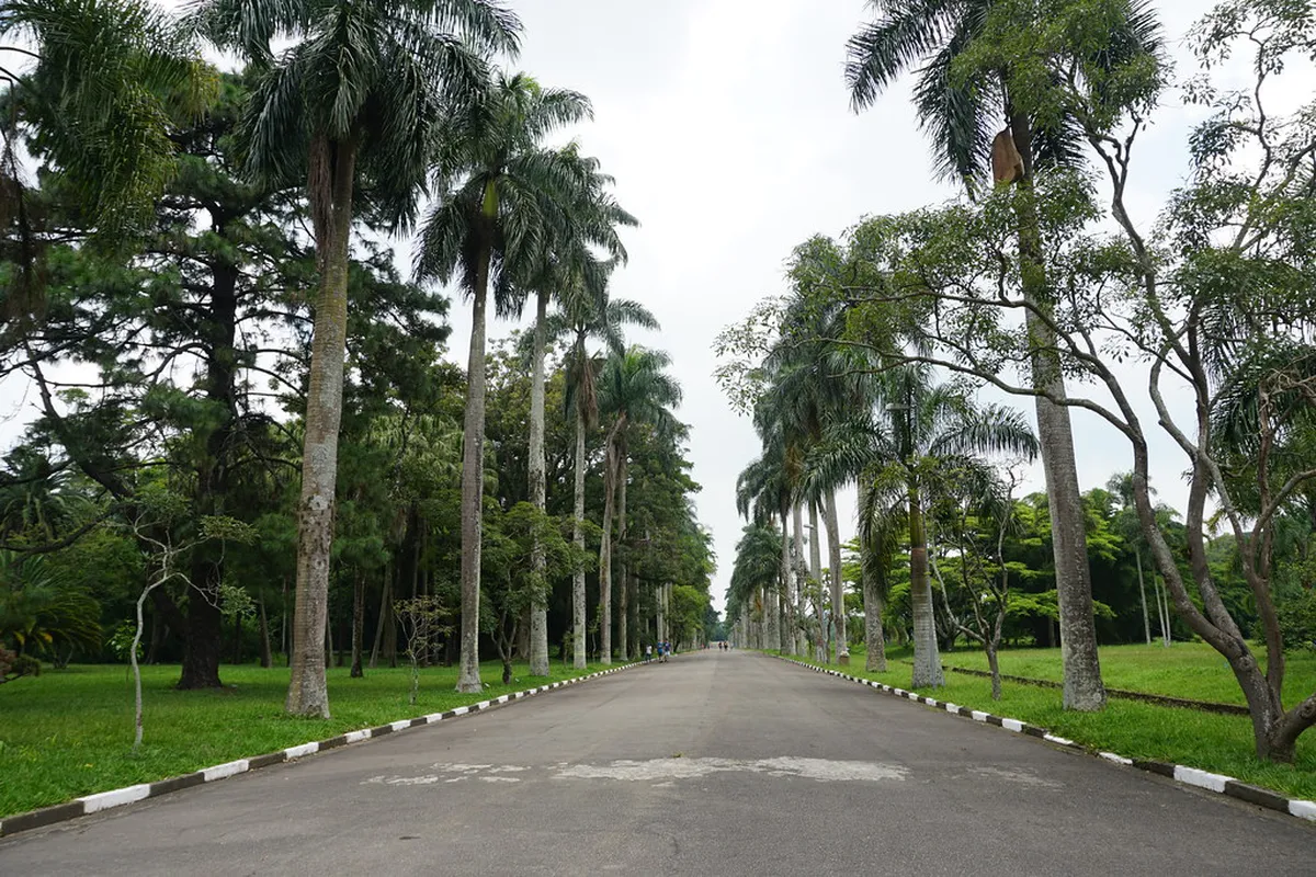 Bird Watching Spots on Rio Este Path: Braga Guide