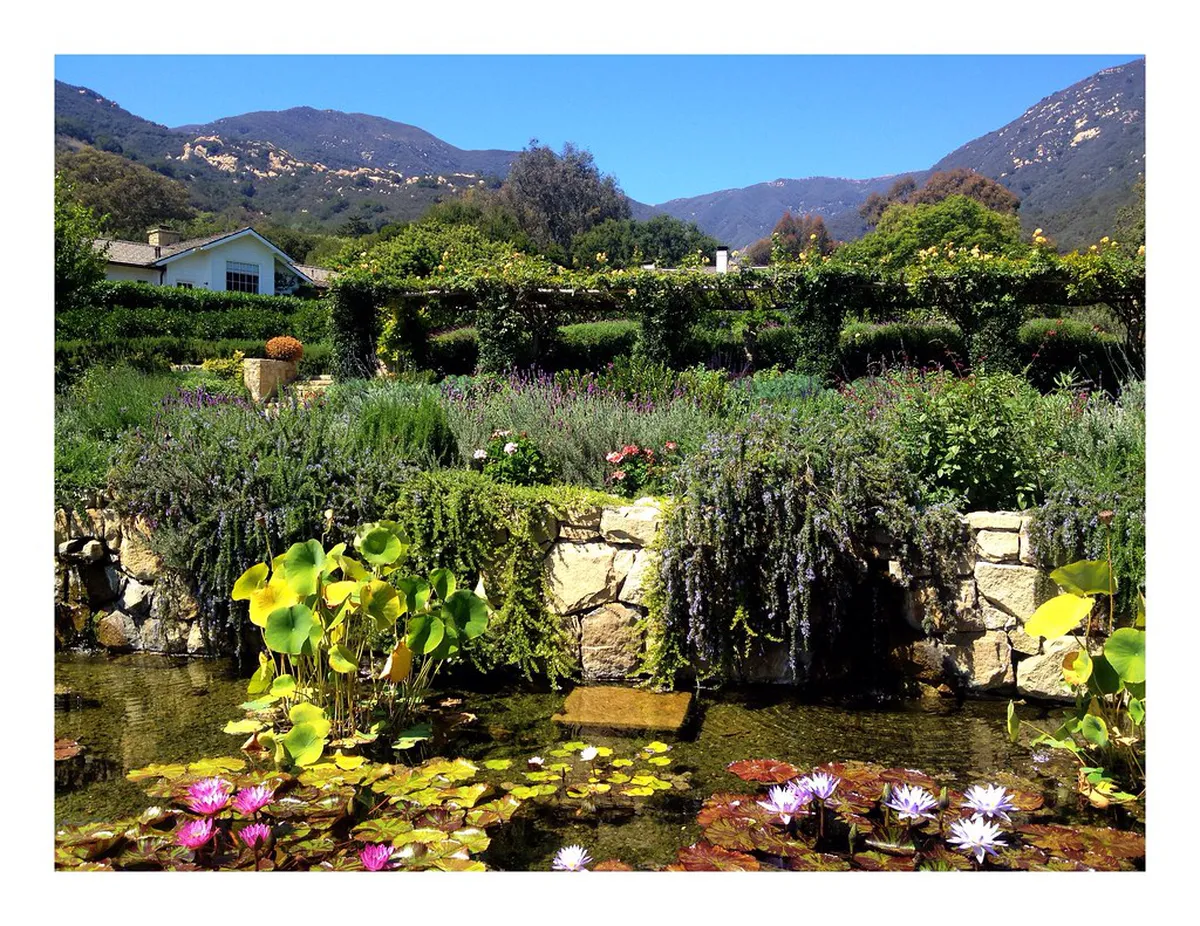 Photography Tips for Santa Barbara Garden