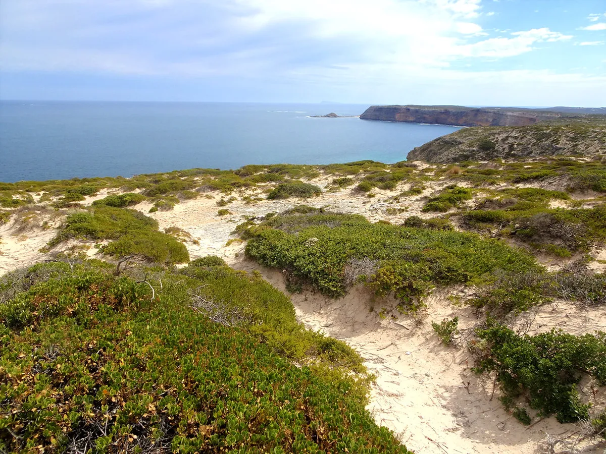 Coastal Cliff Safety Tips Carvoeiro: Stay Secure