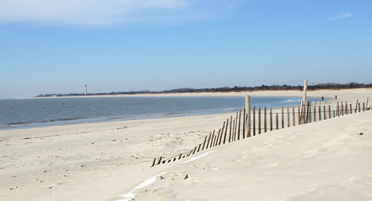 Winter Bird Watching Walks in Carvoeiro