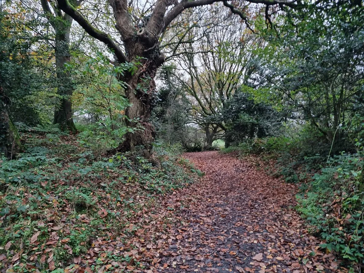Clothing Layers for Walking the Cascais Coastline 2026