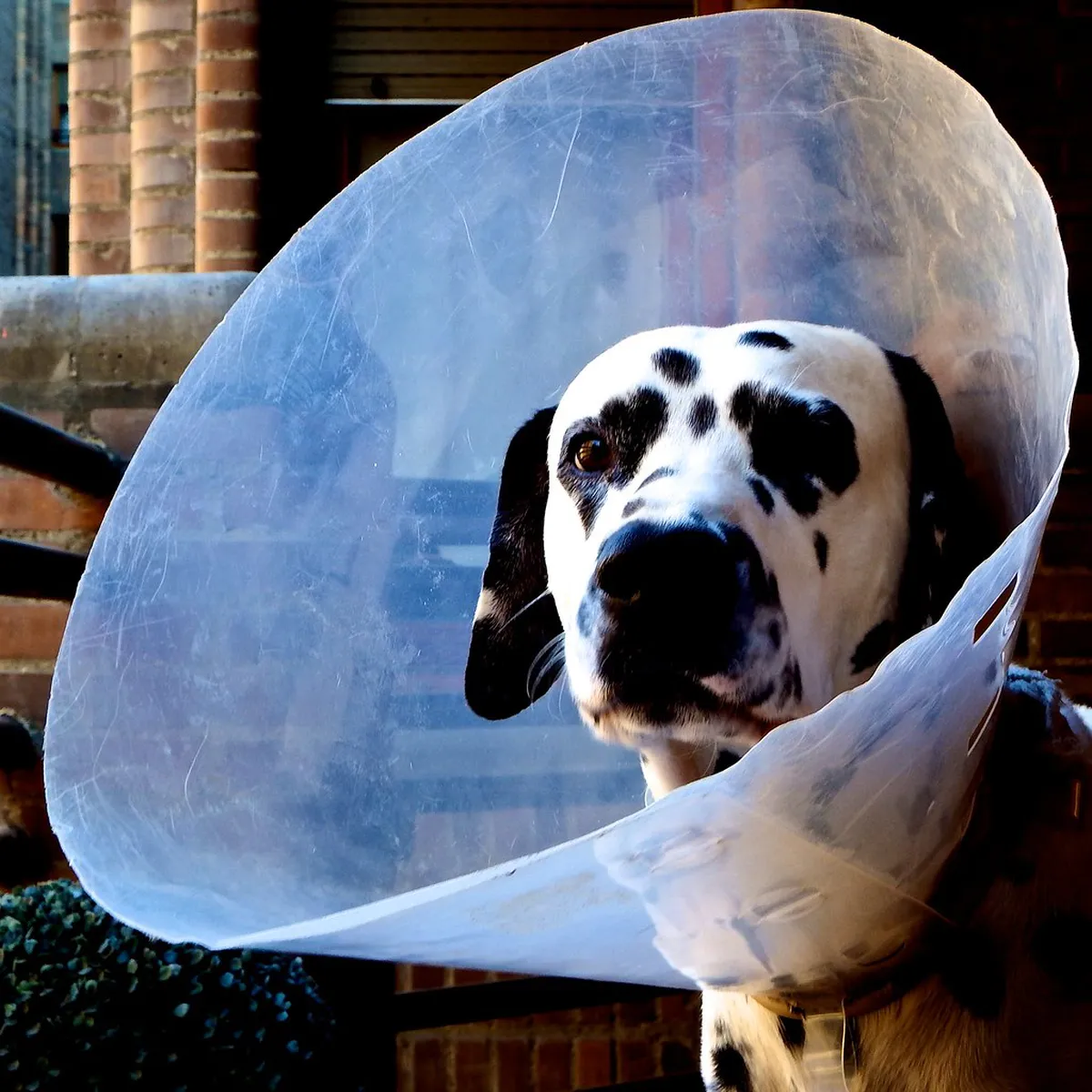 How to Get to Cabo da Roca for Hiking in 2026