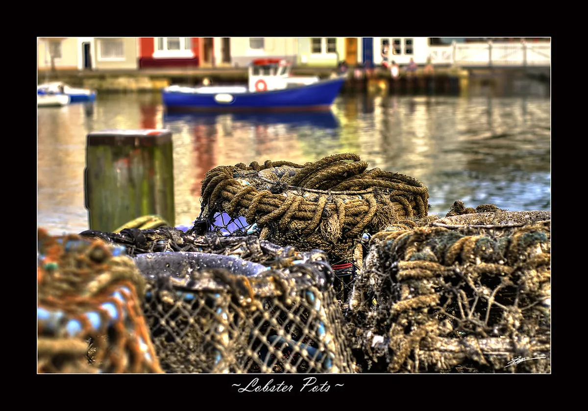 Photography Gear for Capturing Scenic Walks in Cascais