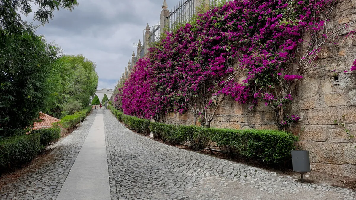 Coimbra Botanical Garden Trails Guide