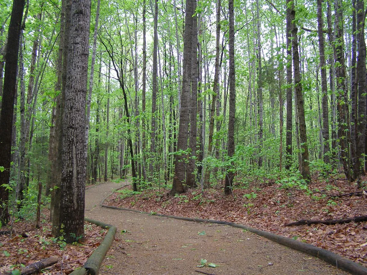 Quiet Walking Trails in Coimbra Botanical Garden