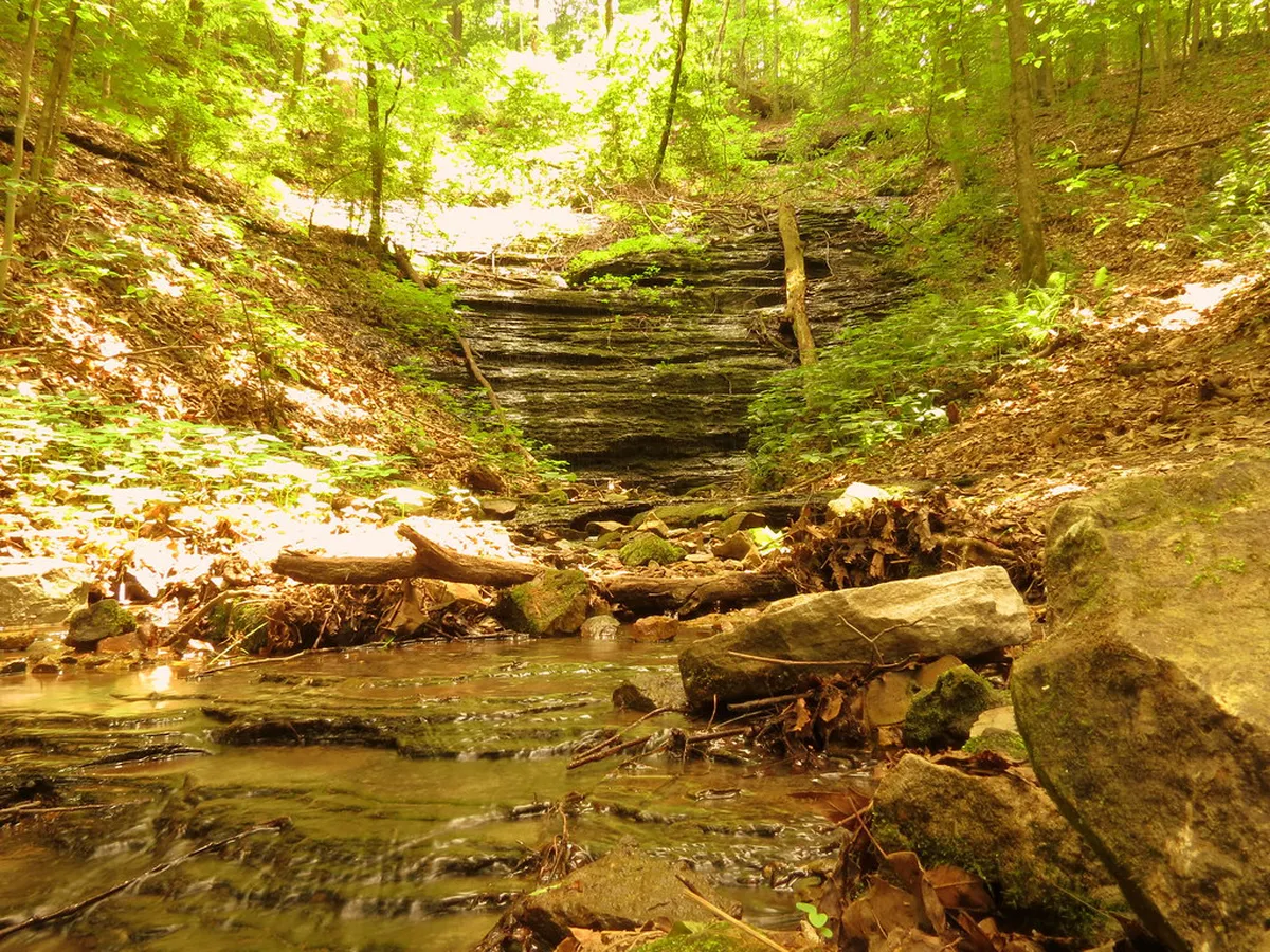 Hidden Gem Trails in Ericeira: 2026 Guide