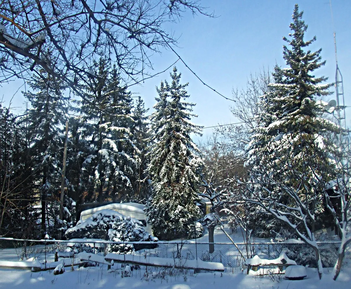 Hydration Tips for Long Walks in Ericeira