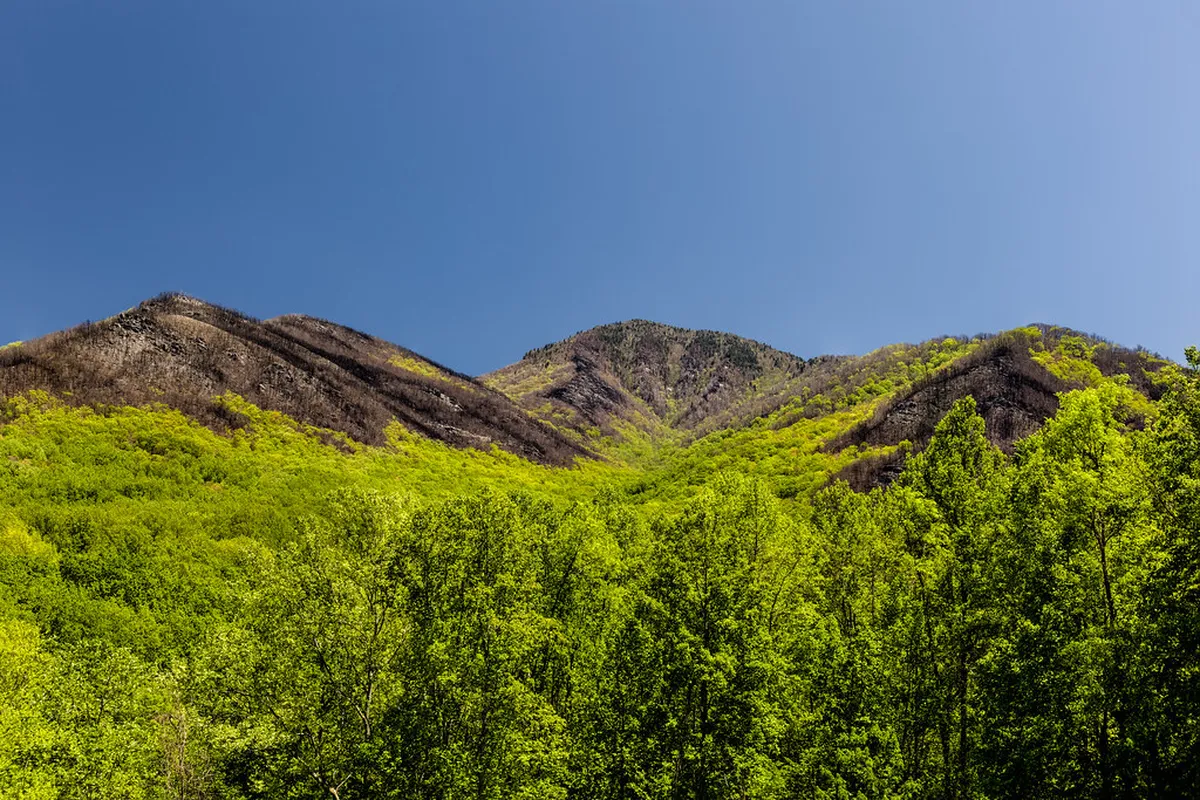 Best Historic Center Walking Routes Évora