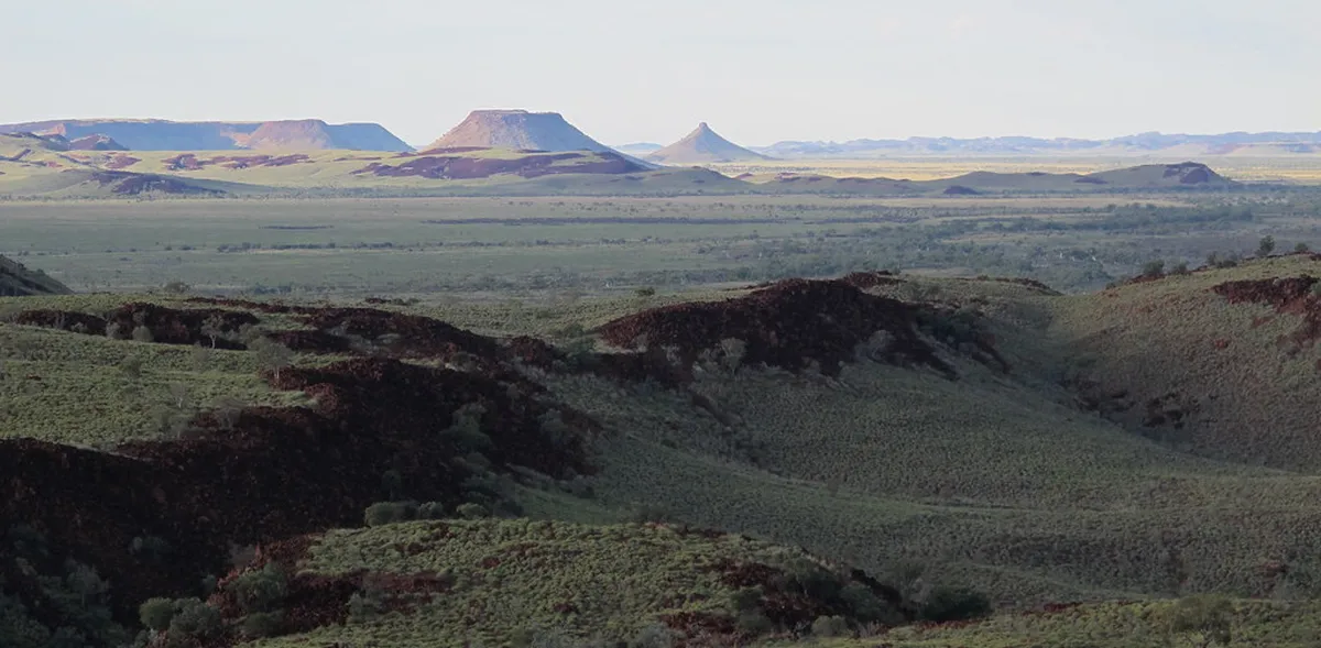 Best Spring Wildflower Walking Trails in Évora Region