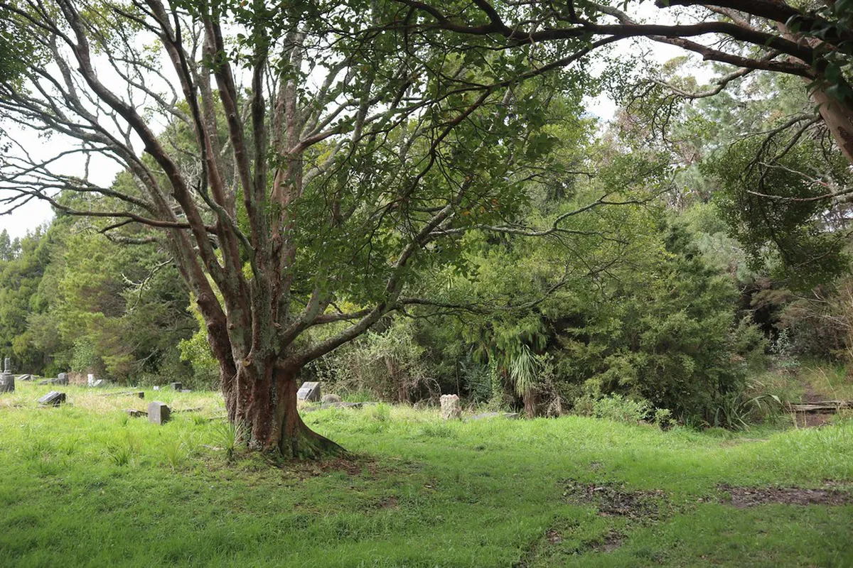 Ludo Trail Distance and Walking Time Guide