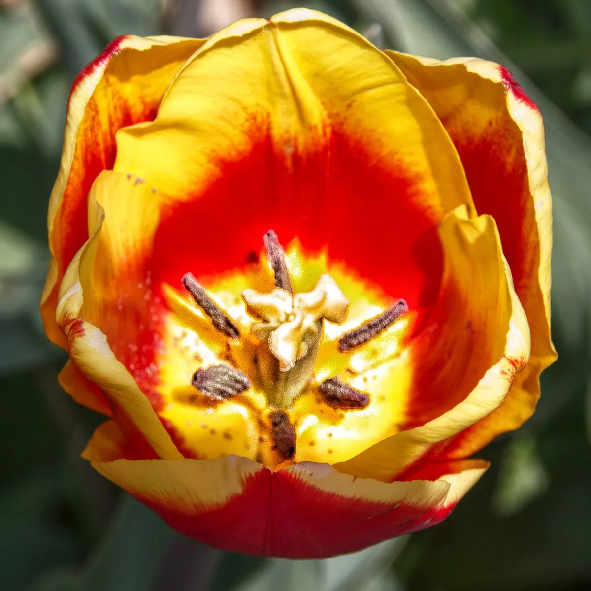 Street Art Walking Tour in Faro Portugal: 2026 Guide