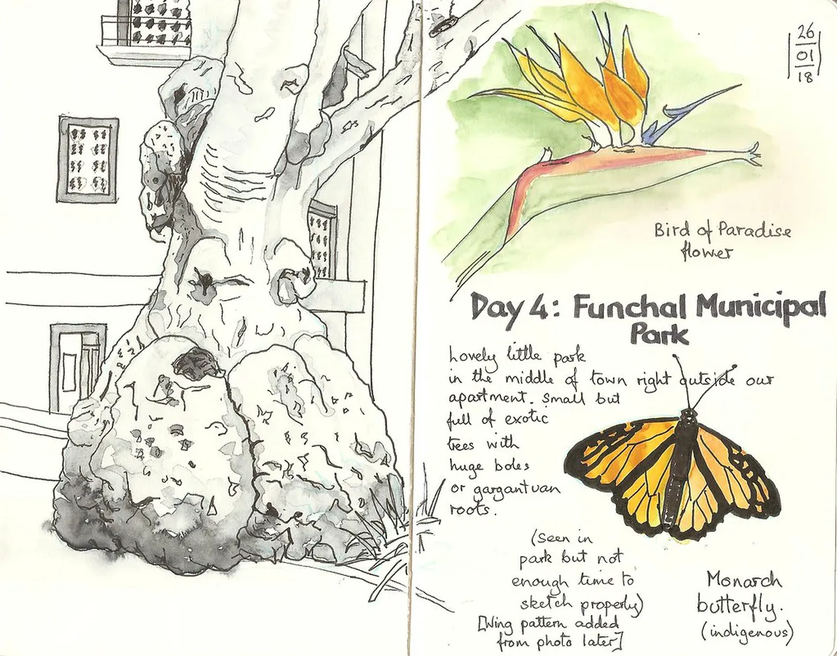 Funchal Botanical Garden Walking Trails Guide