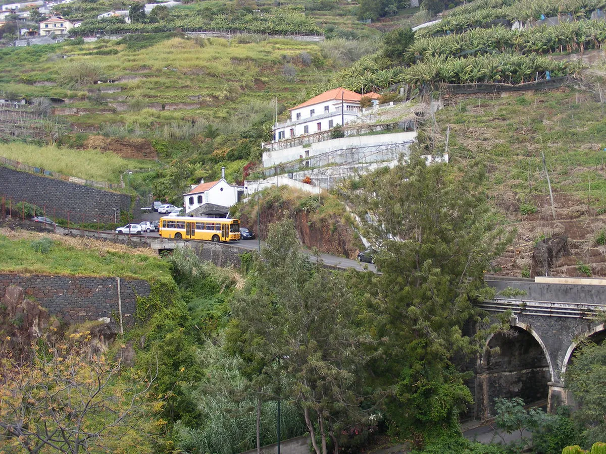 Funchal Coastal Promenade Walking Guide