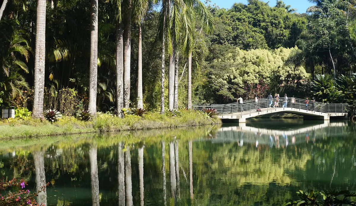 Walking Through the Gardens of Vila Flor: A Guide