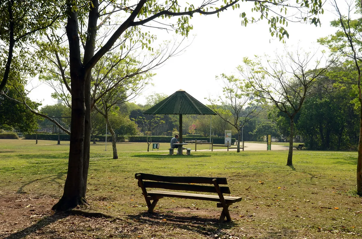 Bairro Alto Walking Tour for Creatives: 2026 Guide