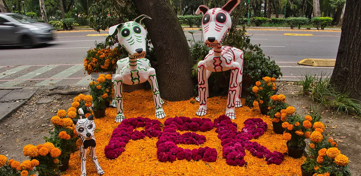 Best Family Friendly Walks in Parque Nações