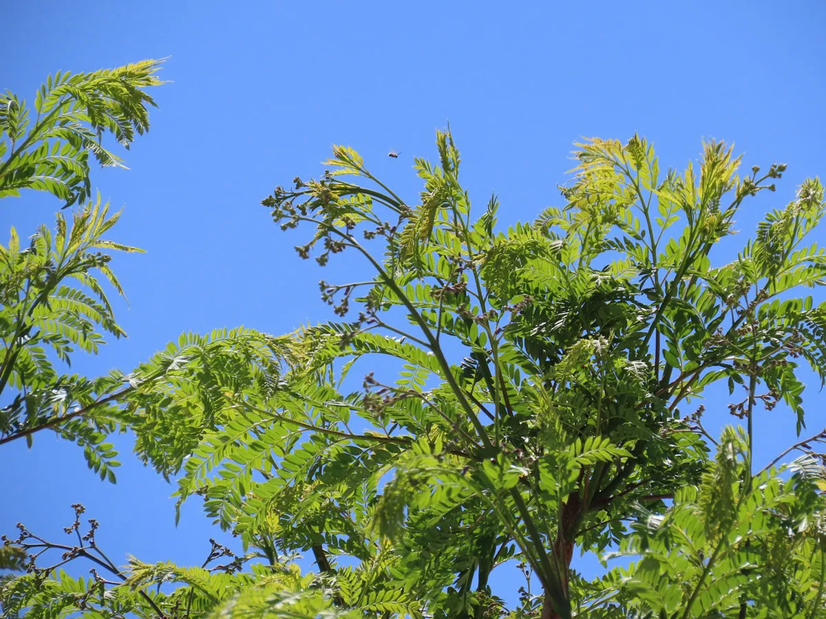 How to Book Lisbon Food Tour: 2026 Guide