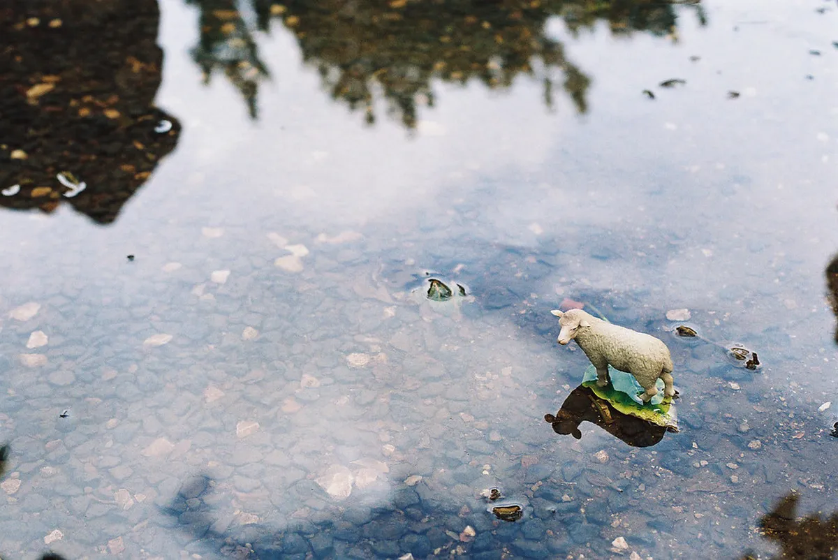 Parque das Nações Walk: A Modern Lisbon Guide