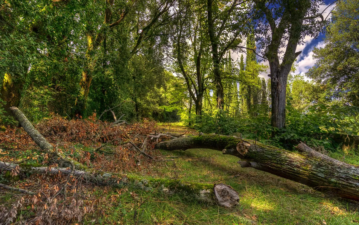 Photography Walk Through Nazaré Old Town Streets