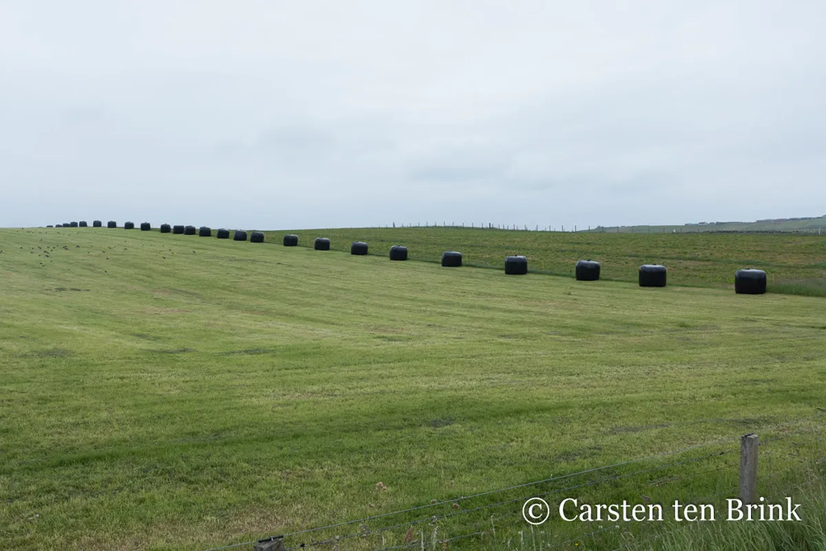 Baleal Island Circular Walking Route Guide