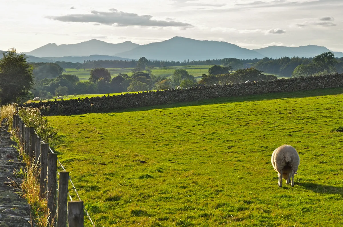 Best Geological Walking Trails for Students Peniche