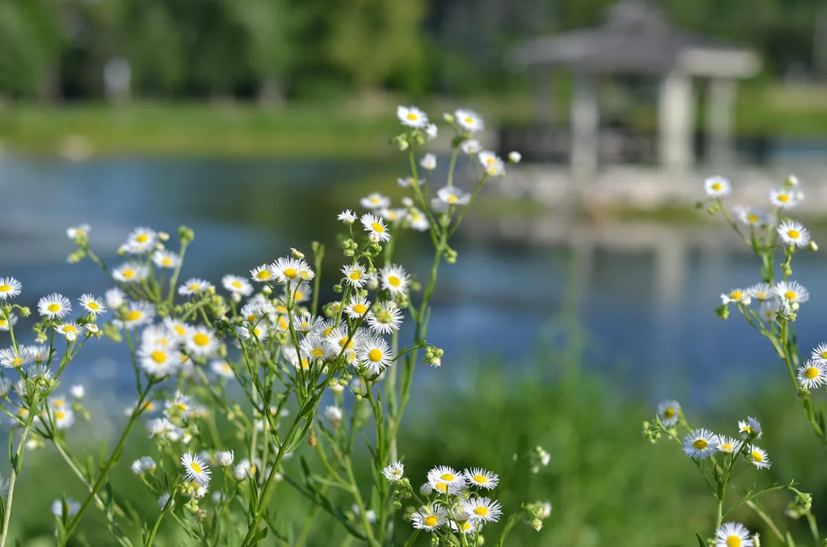 Educational Nature Walks for Children in Régua
