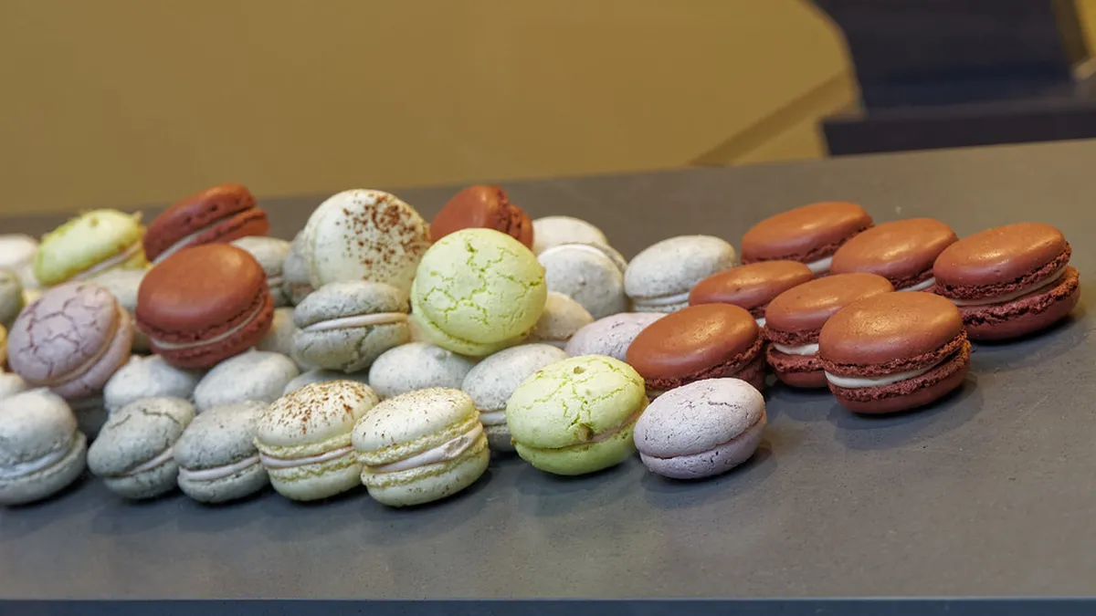 Best Guided Vineyard Walking Tours in Peso da Régua