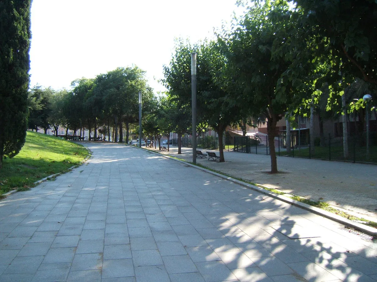 Paved walking paths in Peso da Régua: 2026 Guide