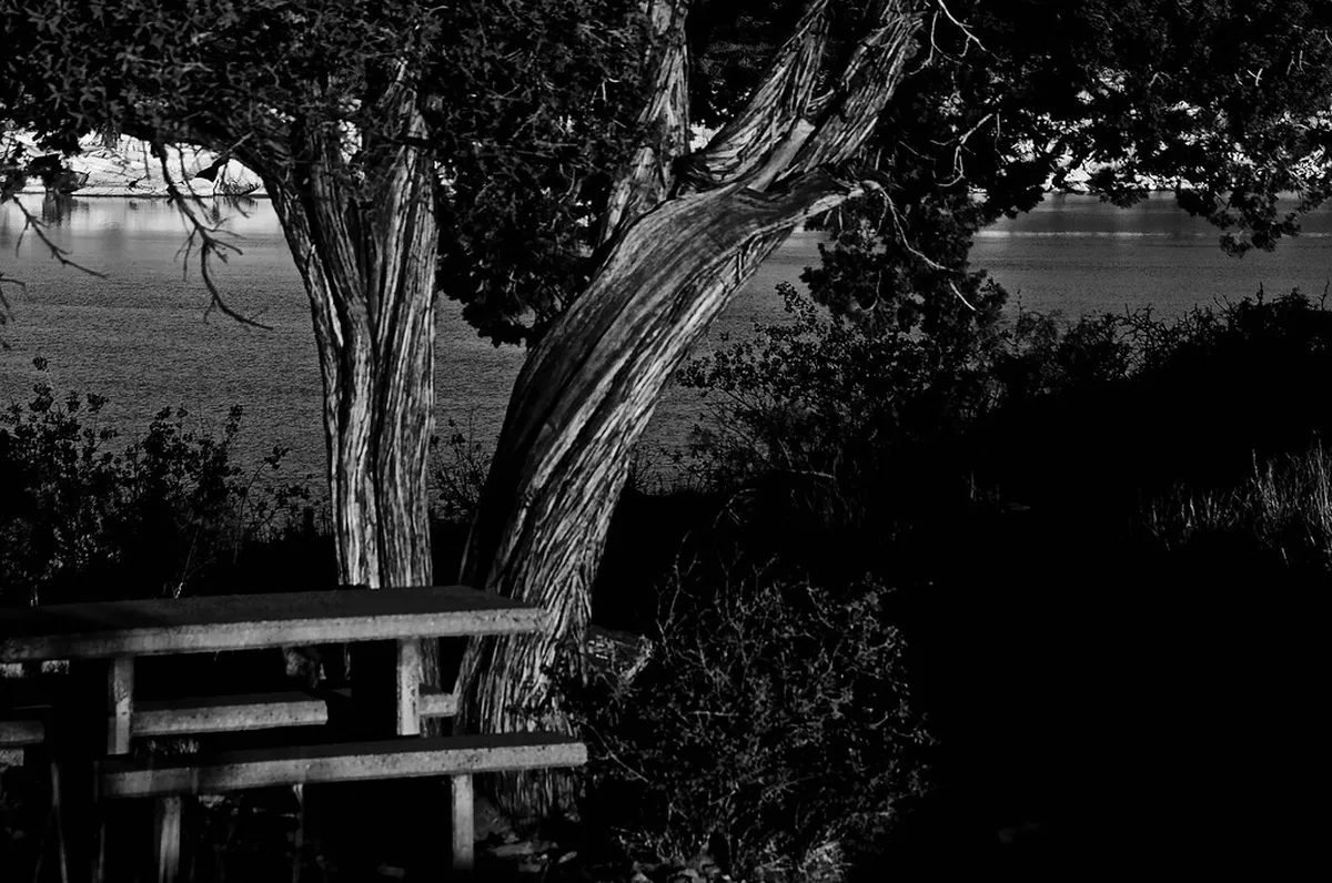 Best Picnic Spots on Peso da Régua Walks