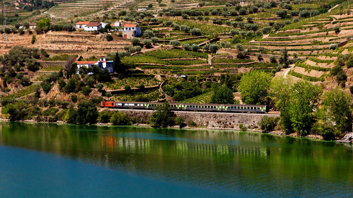 Best Régua to Pinhão Walking Routes in 2026