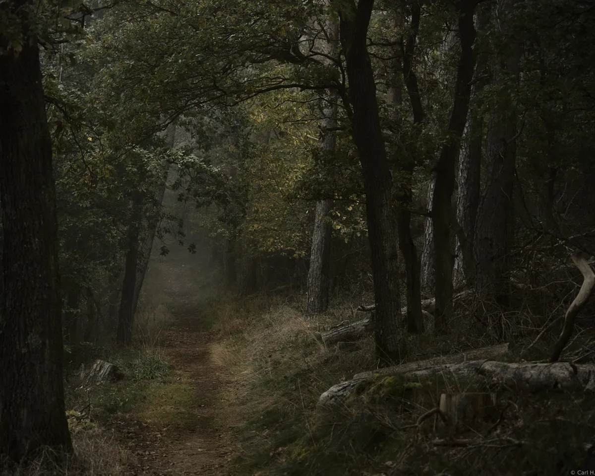 Best Vineyard Hiking Trails Régua 2026 Guide