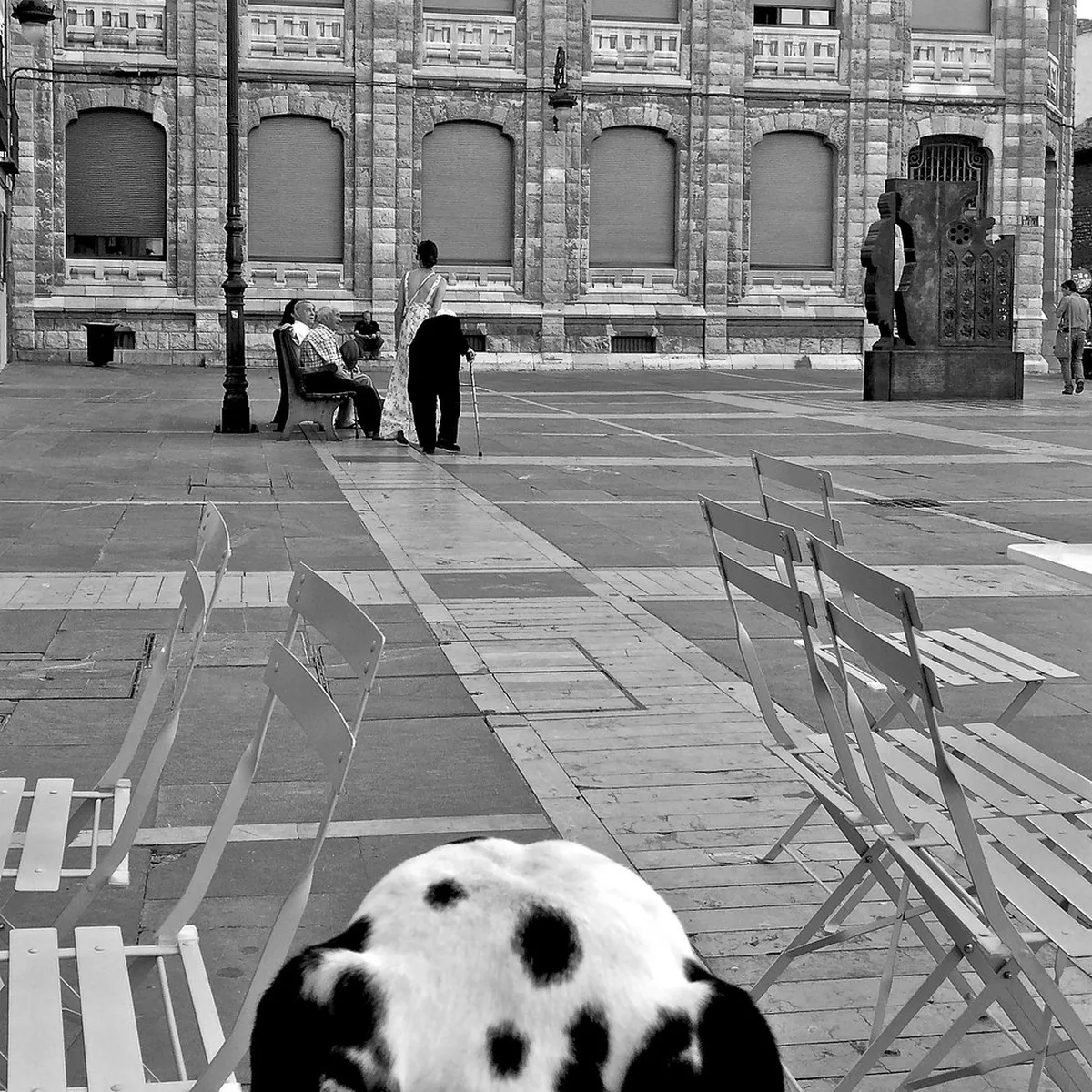 Walking in Peso da Régua During Harvest 2026