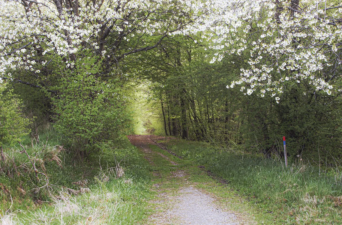 One Day Pinhão Walking Itinerary for 2026