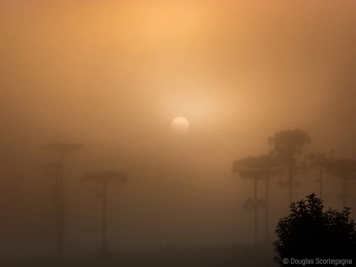 Pinhão Hiking Gear and Essentials Guide