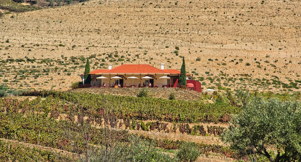 Pinhão to Quinta da Roêda Walk: A 2026 Guide